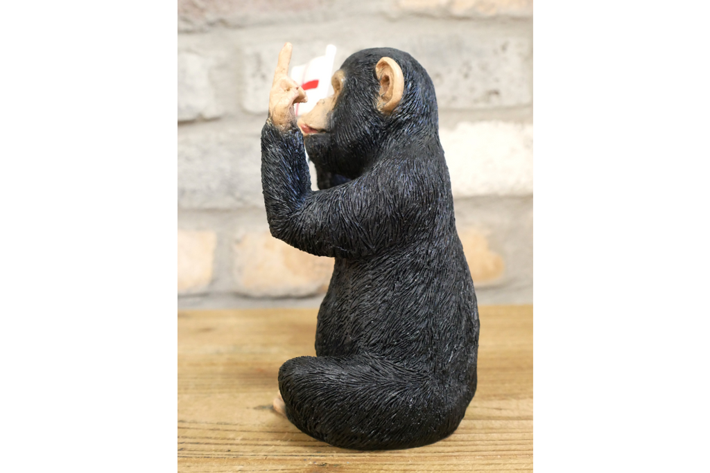 Up Yours England Monkey