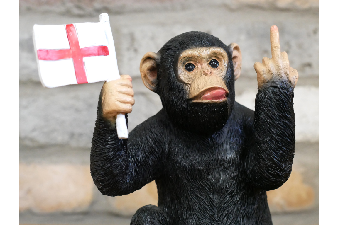 Up Yours England Monkey