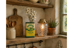 Olive Oil Vase