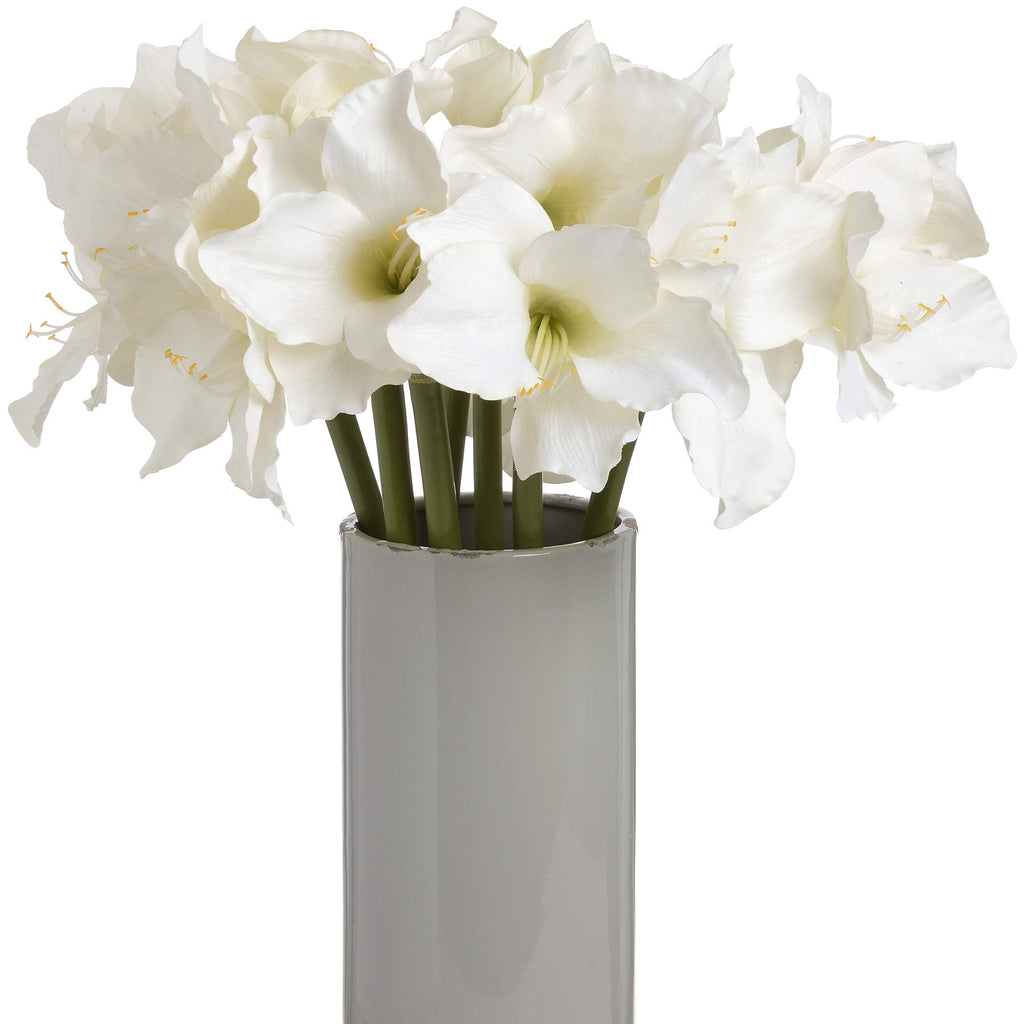 10 White Amaryllis