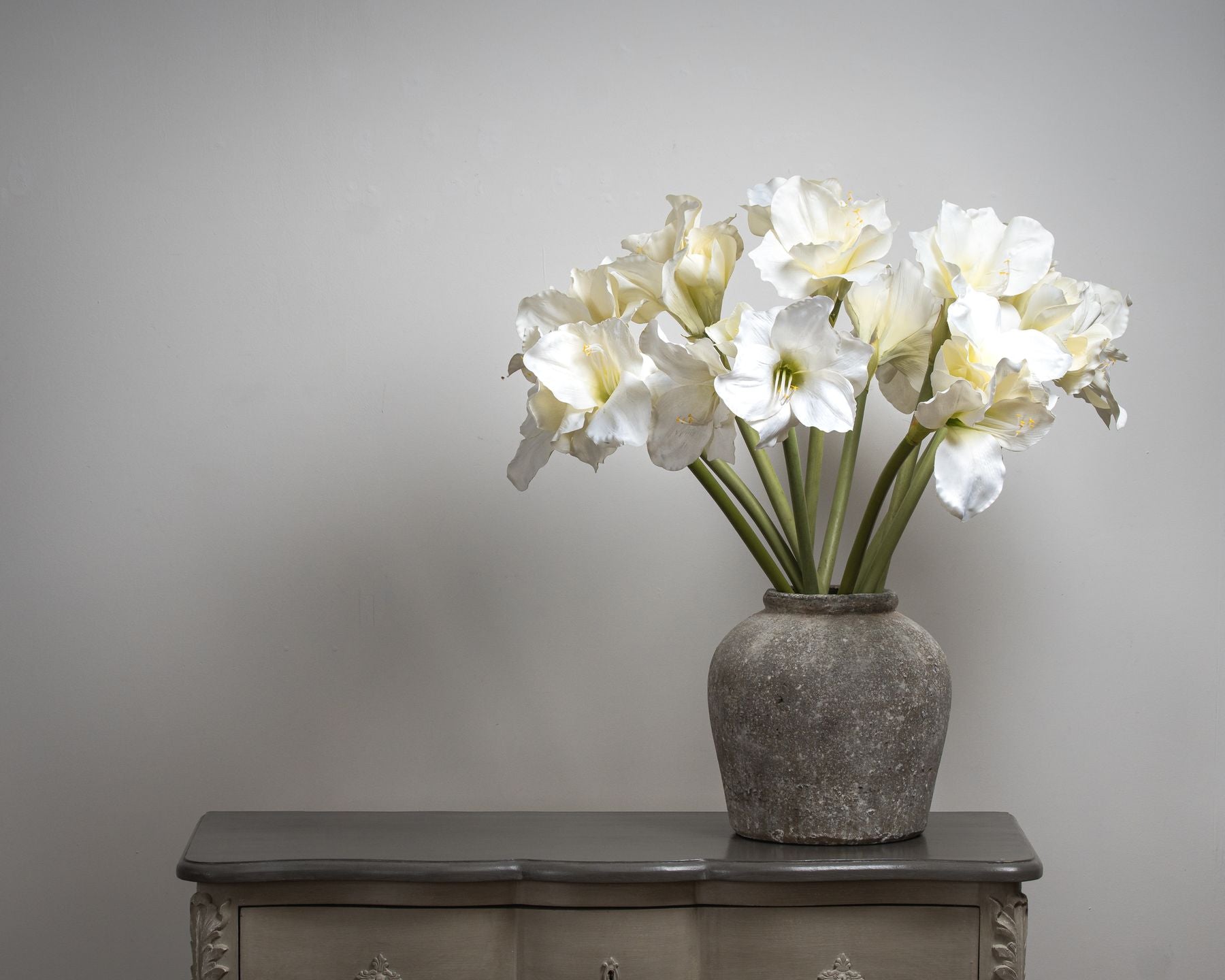 5 White Amaryllis