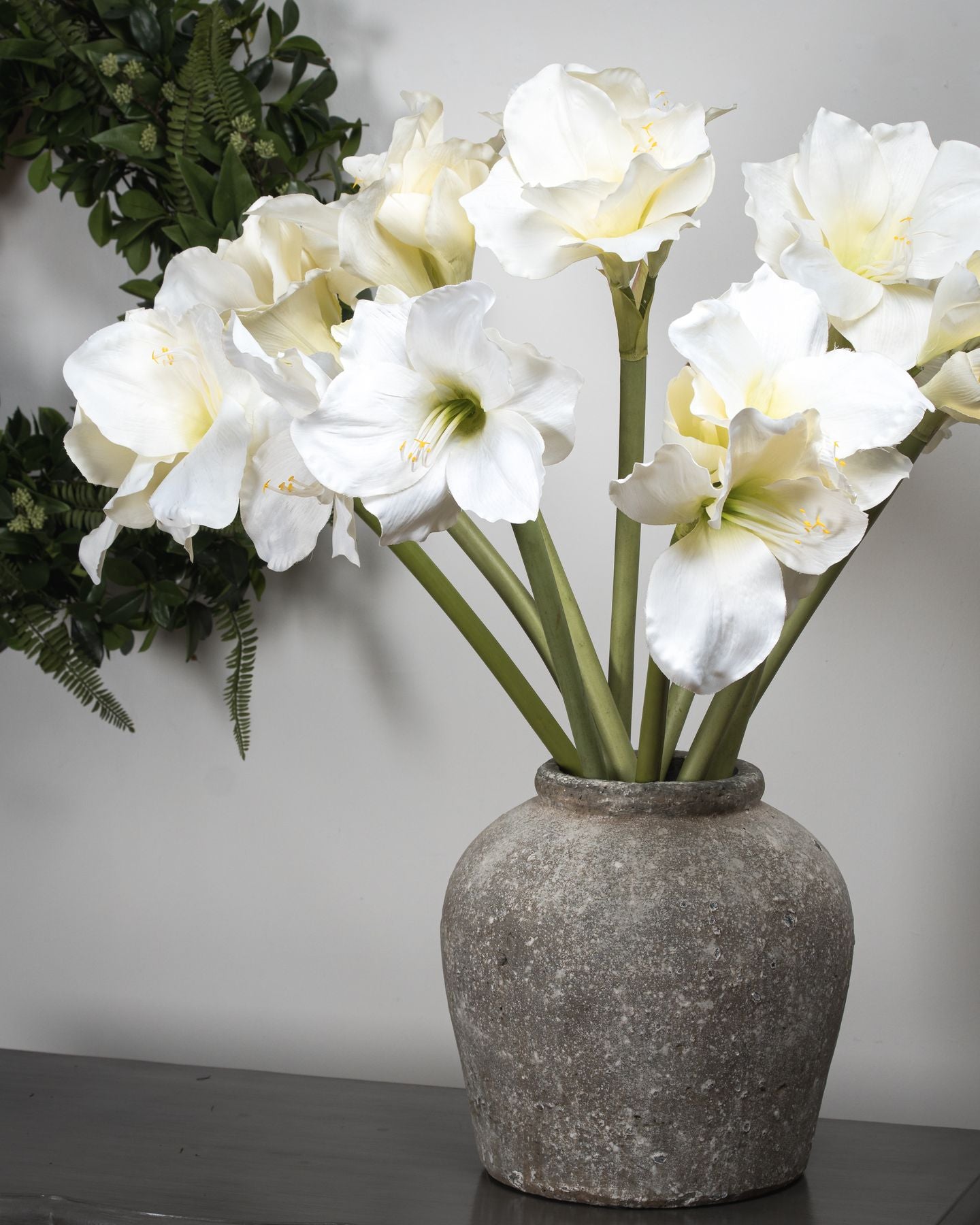10 White Amaryllis