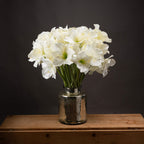 10 White Amaryllis