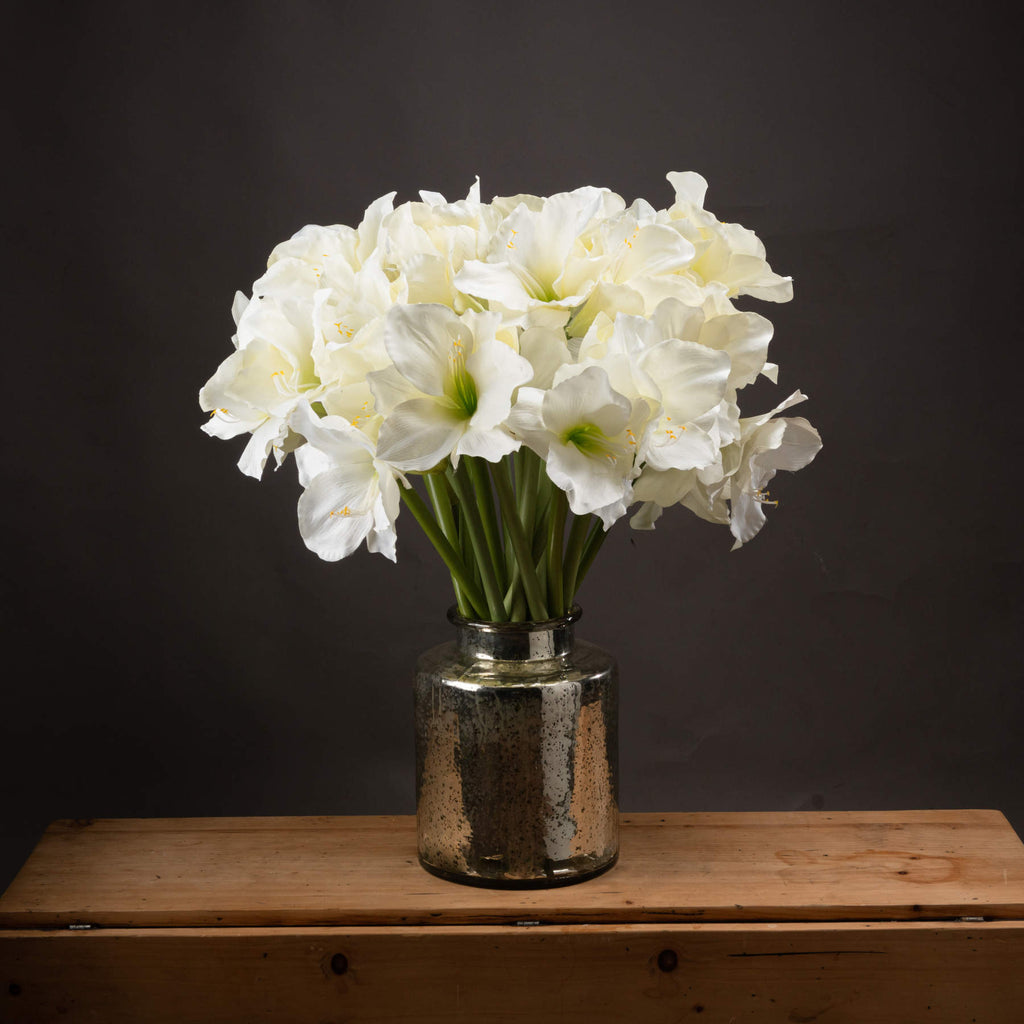 5 White Amaryllis