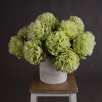 Green Peonies
