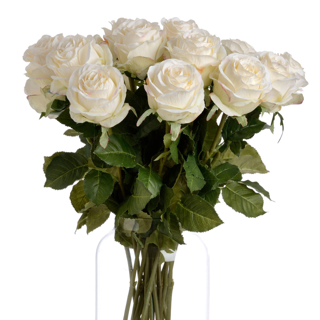 White Roses
