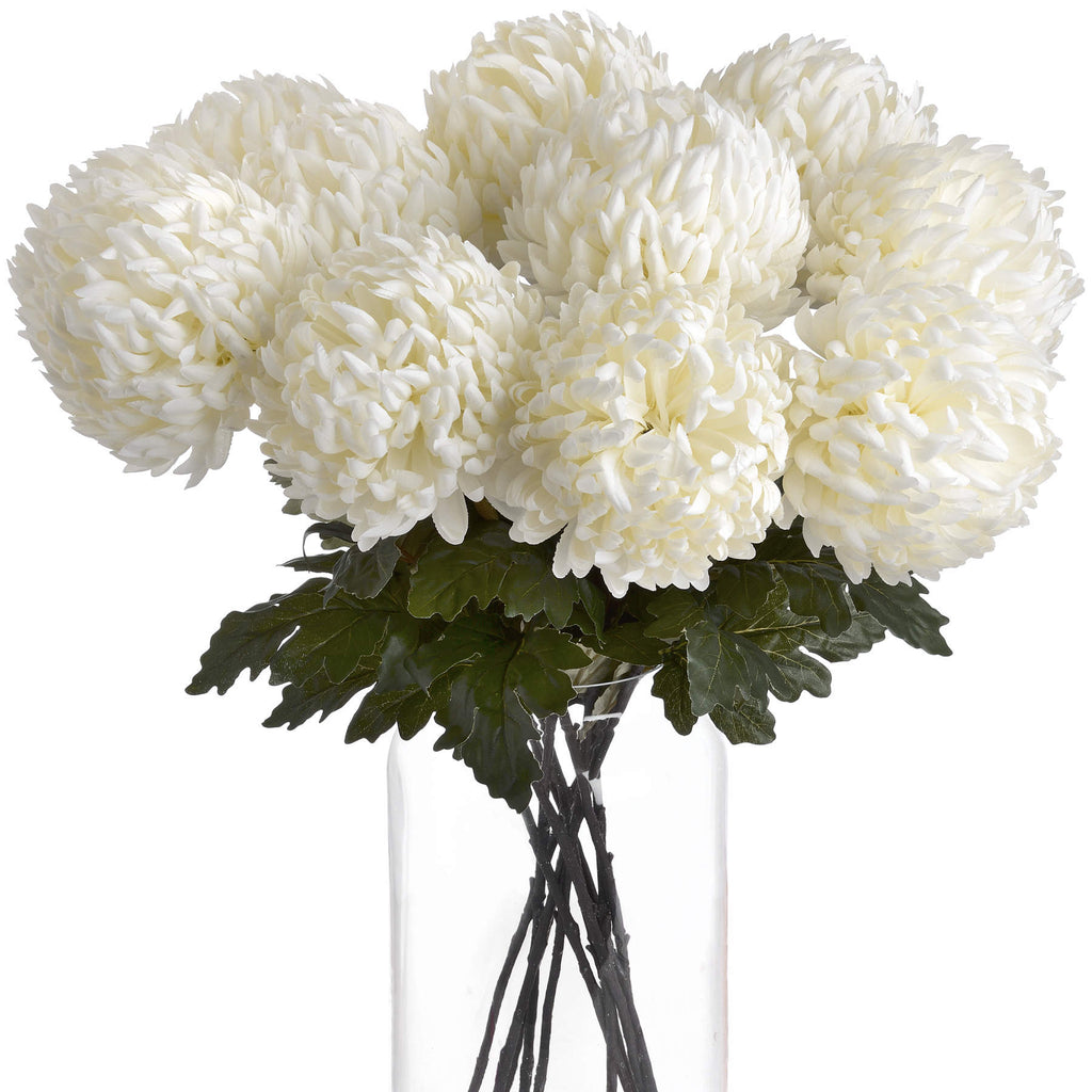10 White Chrysanthumums