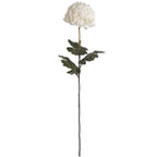 10 White Chrysanthumums