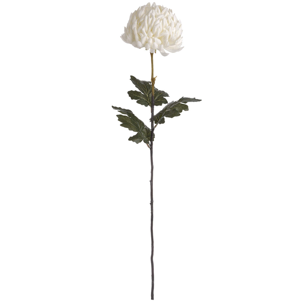 5 White Chrysanthumums