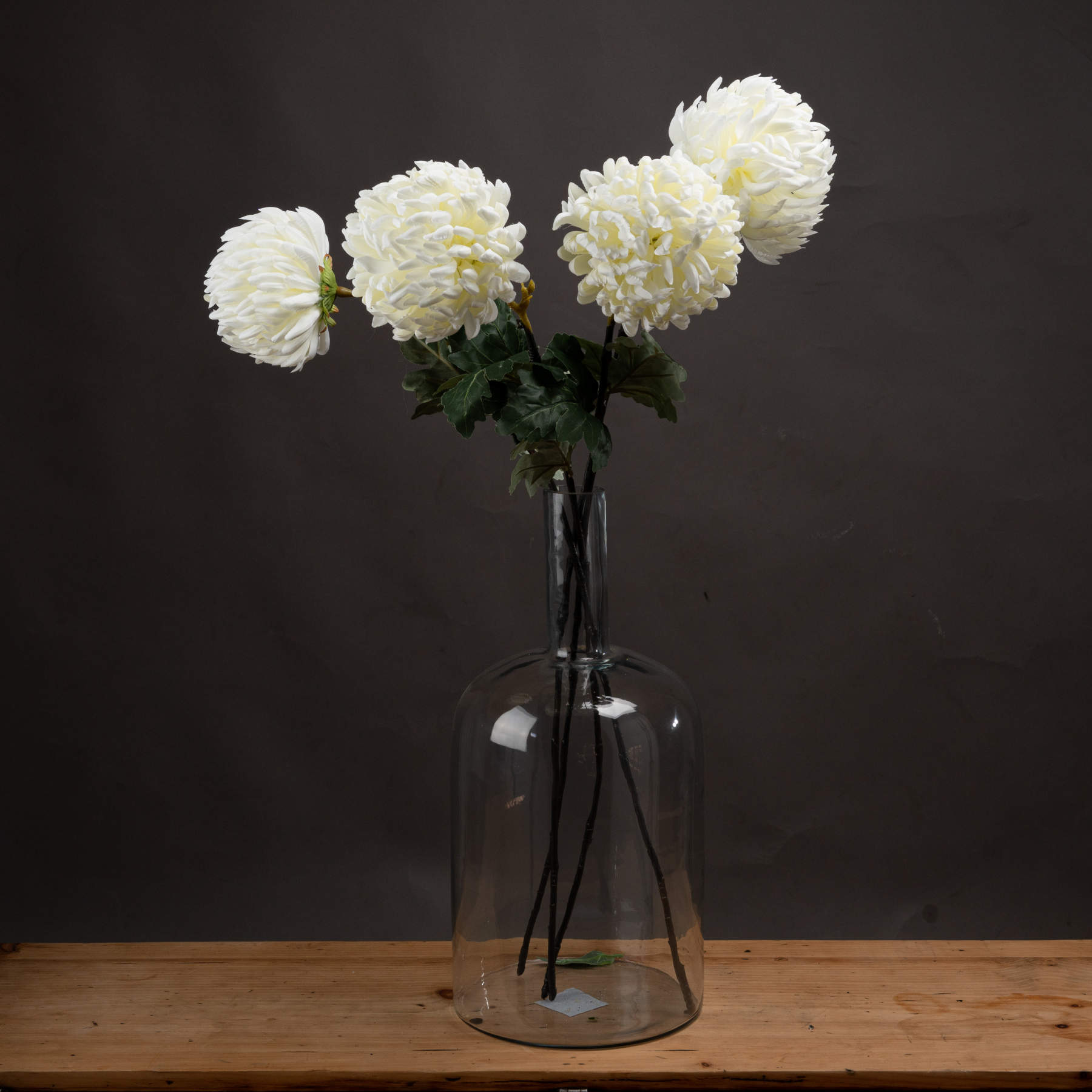 10 White Chrysanthumums