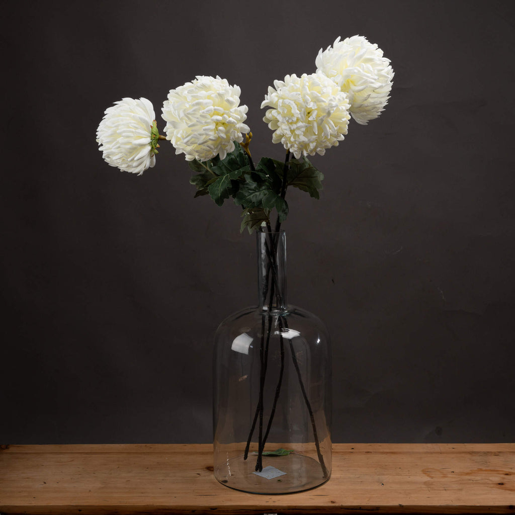 5 White Chrysanthumums