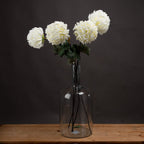 5 White Chrysanthumums