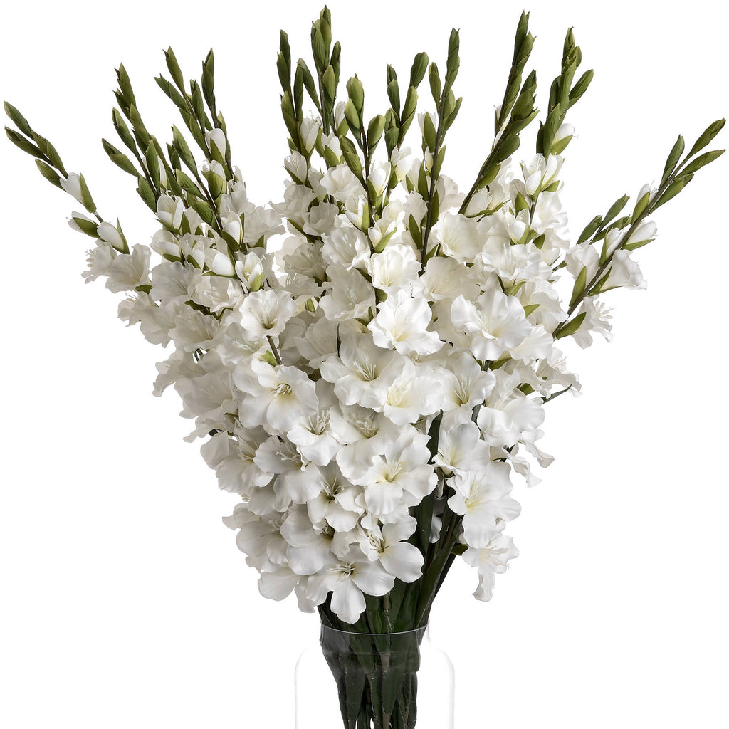 5 White Gladioli