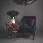 10 Autumn Ruby Hydrangeas