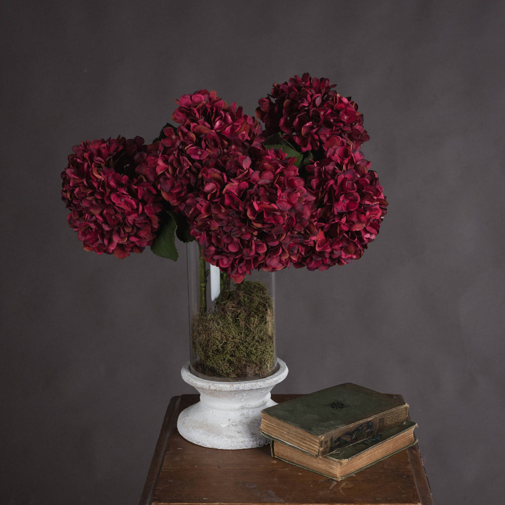 5 Autumn Ruby Hydrangeas