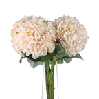 10 Autumn White Hydrangeas