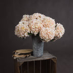 5 Autumn White Hydrangeas