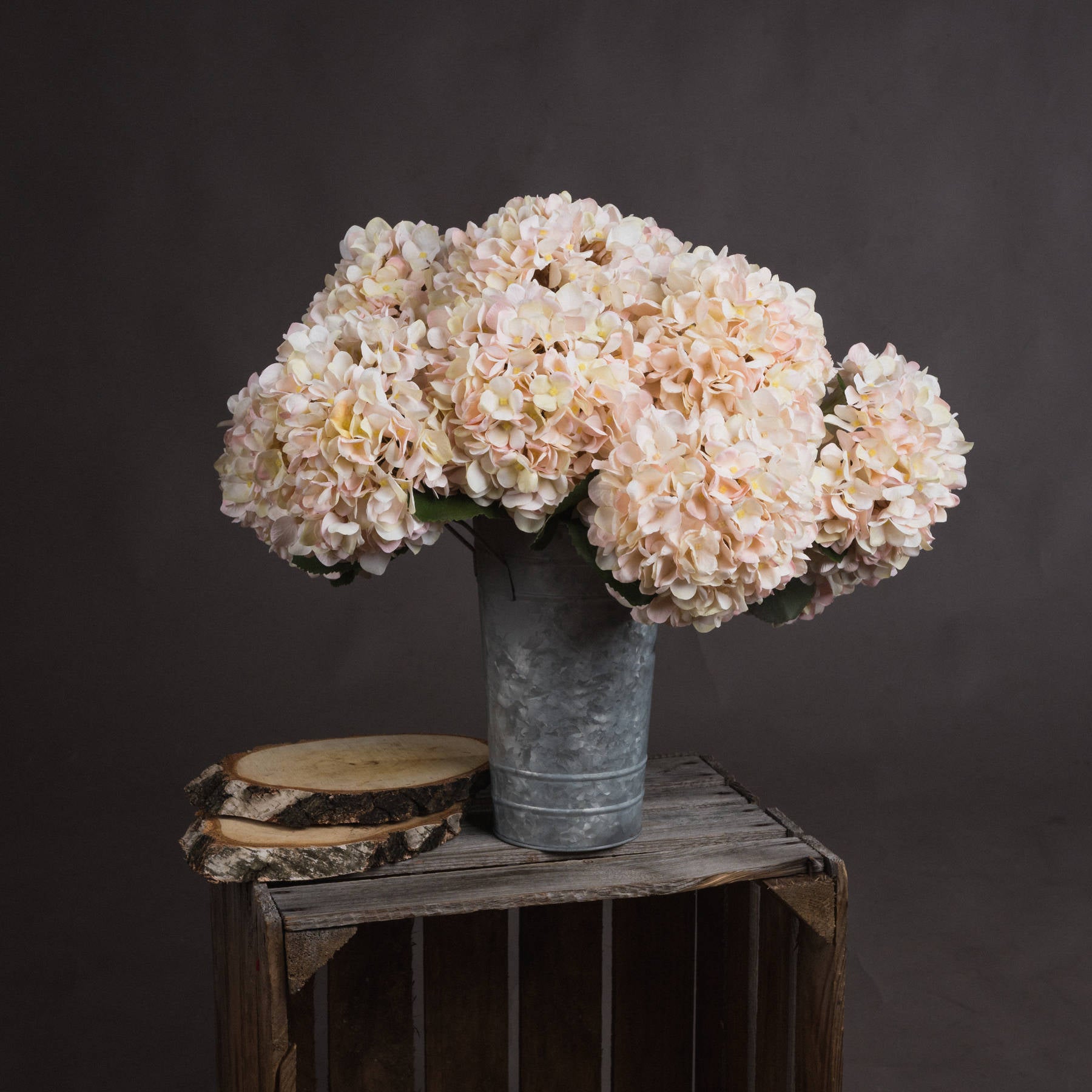 5 Autumn White Hydrangeas