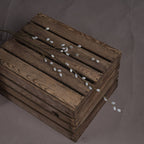 Pussy Willow Branches