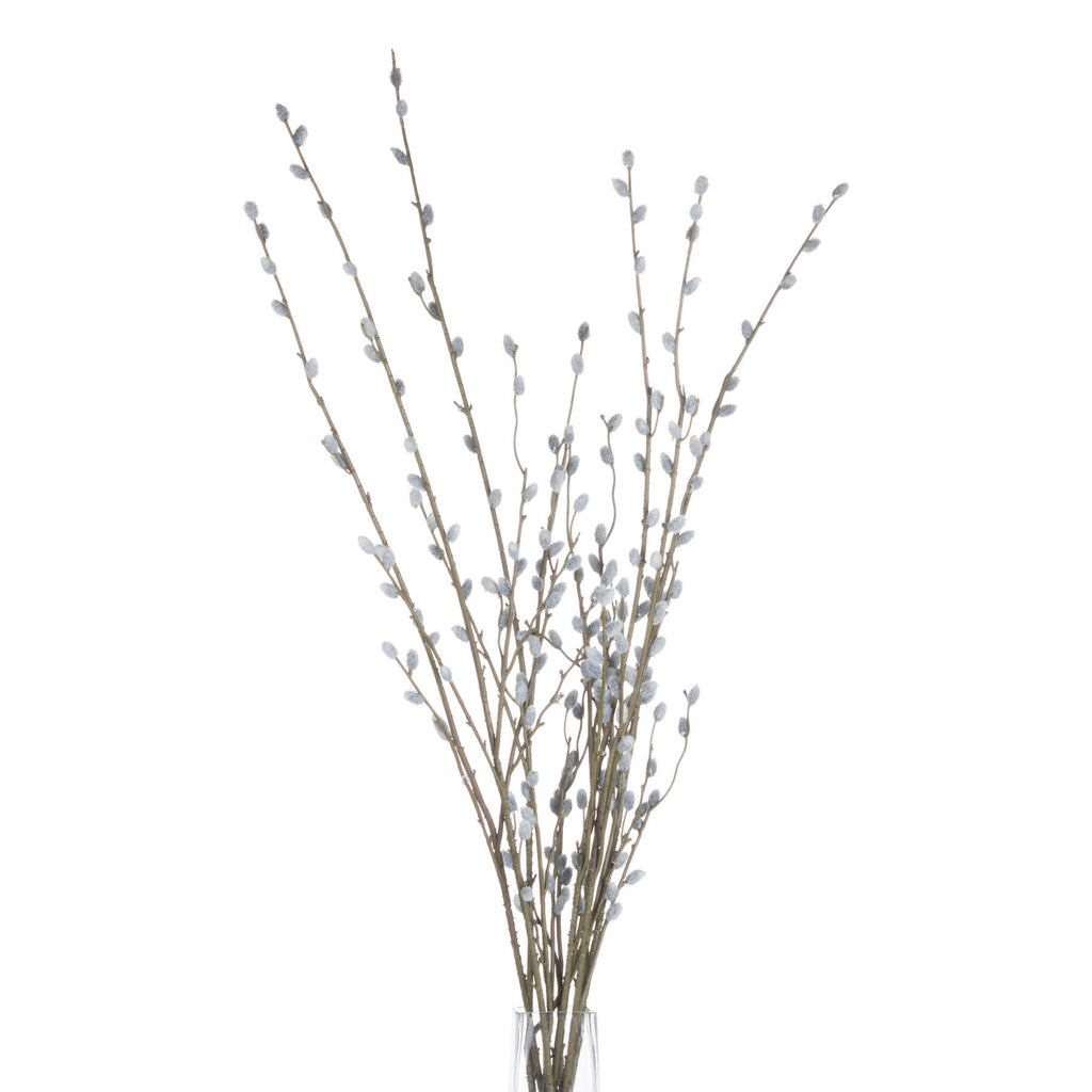 Pussy Willow Branches