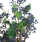 Viburnum Berries