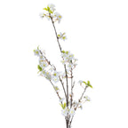 White Cherry Blossoms