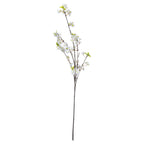 White Cherry Blossoms