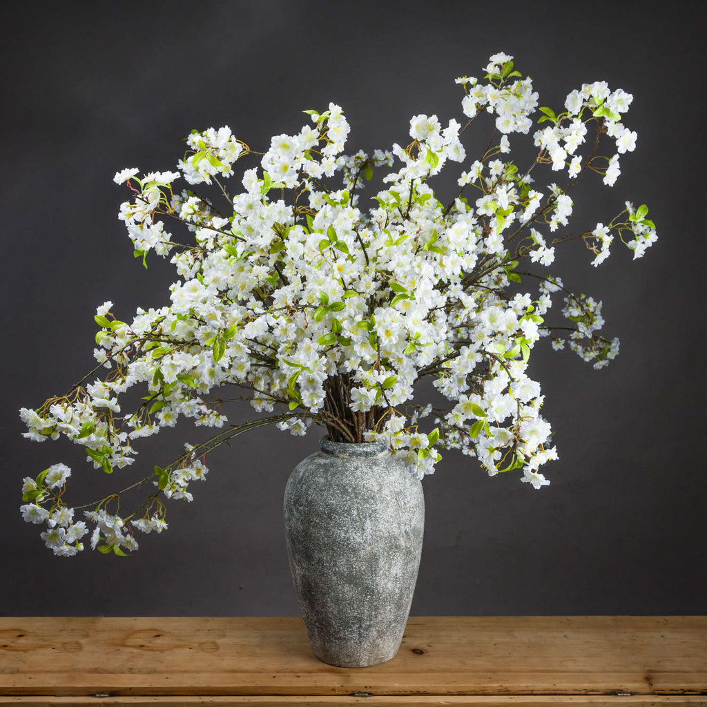 White Cherry Blossoms
