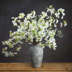 White Cherry Blossoms