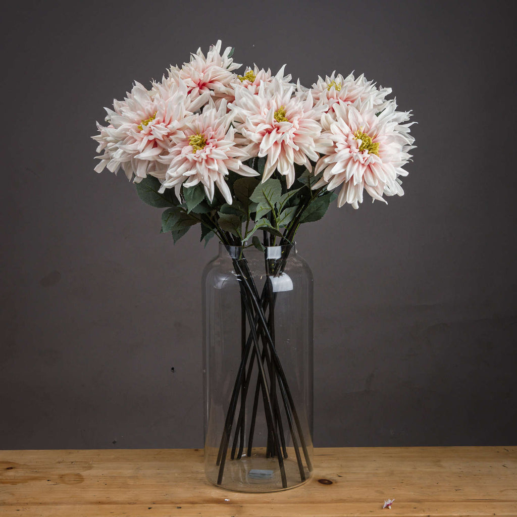 Pink Dahlia