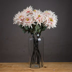 Pink Dahlia