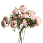 Pink Ranunculus