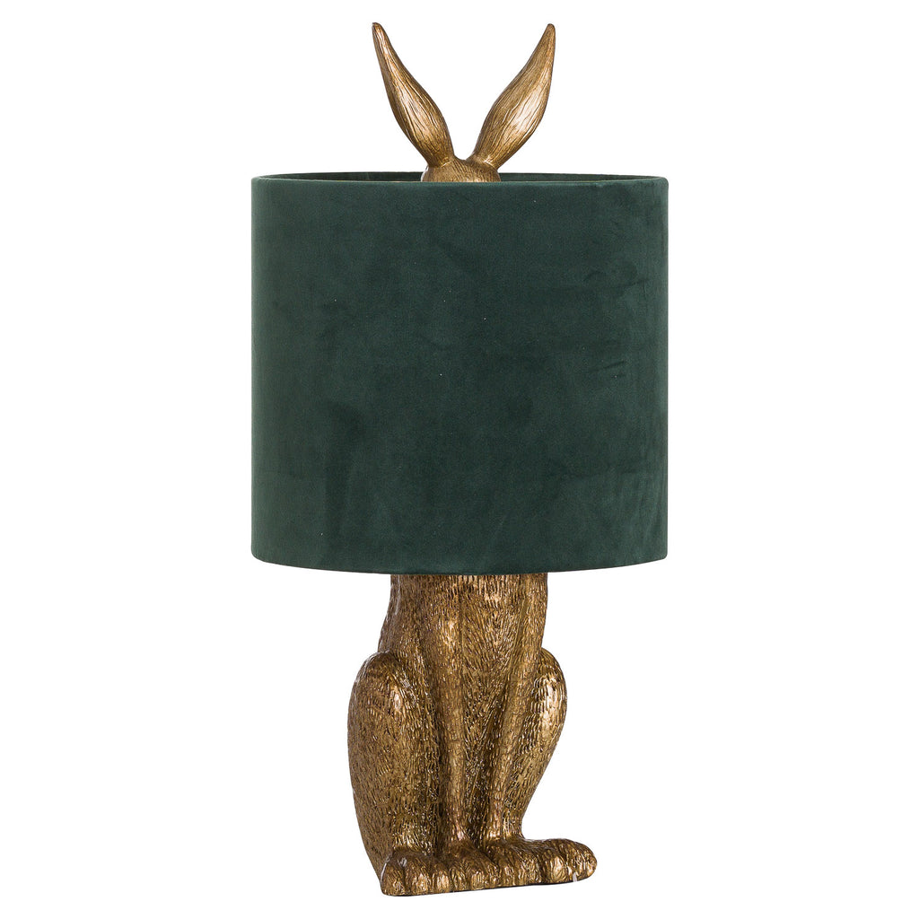 Gold Hare