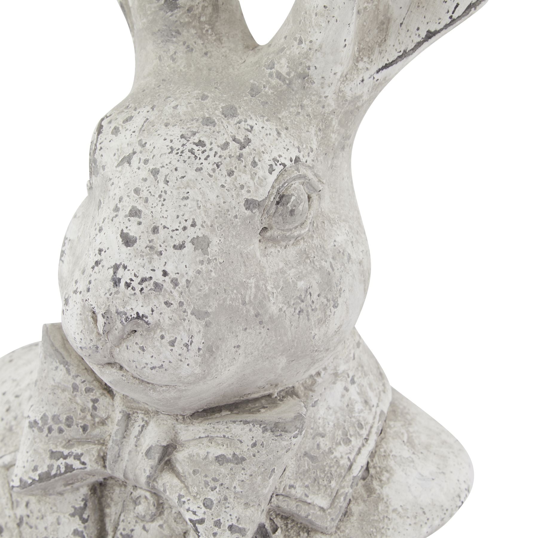 Stone Hare