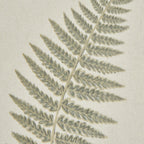 Fern Art