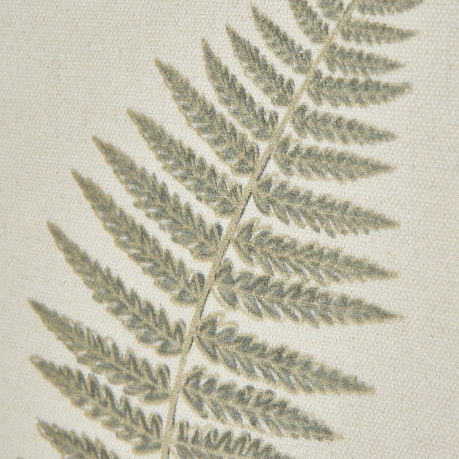 Fern Art