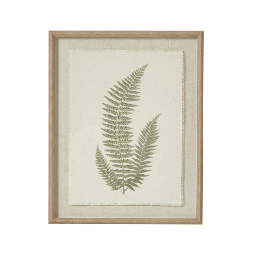 Fern Art