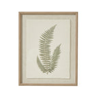 Fern Art