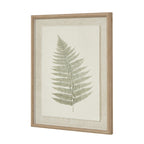Bracken Art