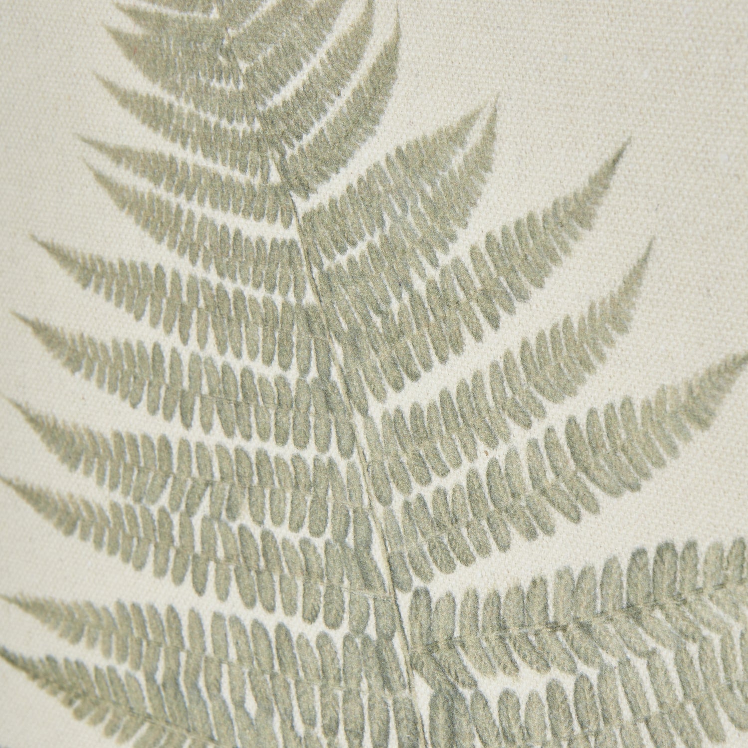 Bracken Art