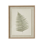 Bracken Art