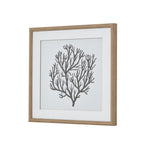 Atol Coral Art