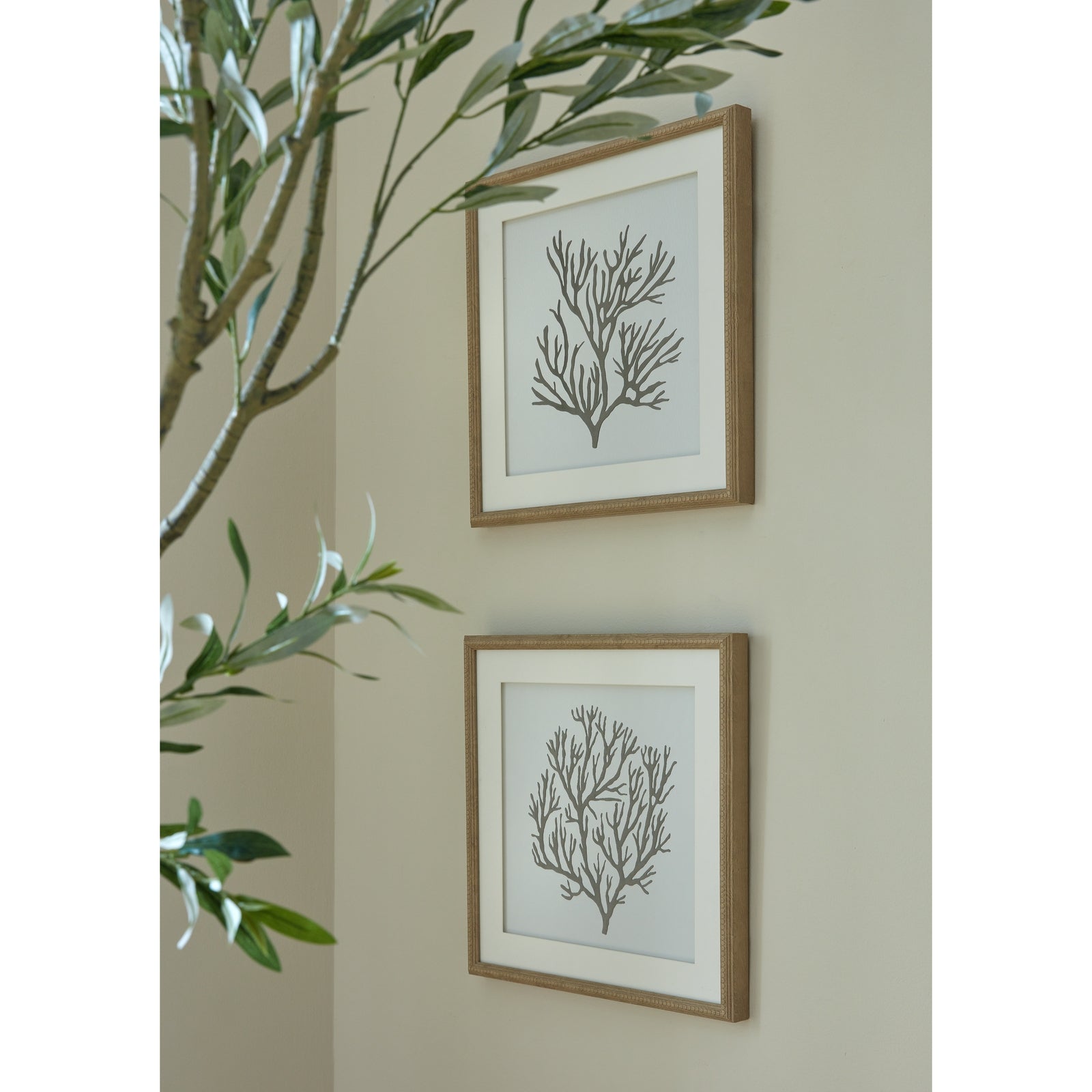 Atol Coral Art