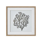 Atol Coral Art