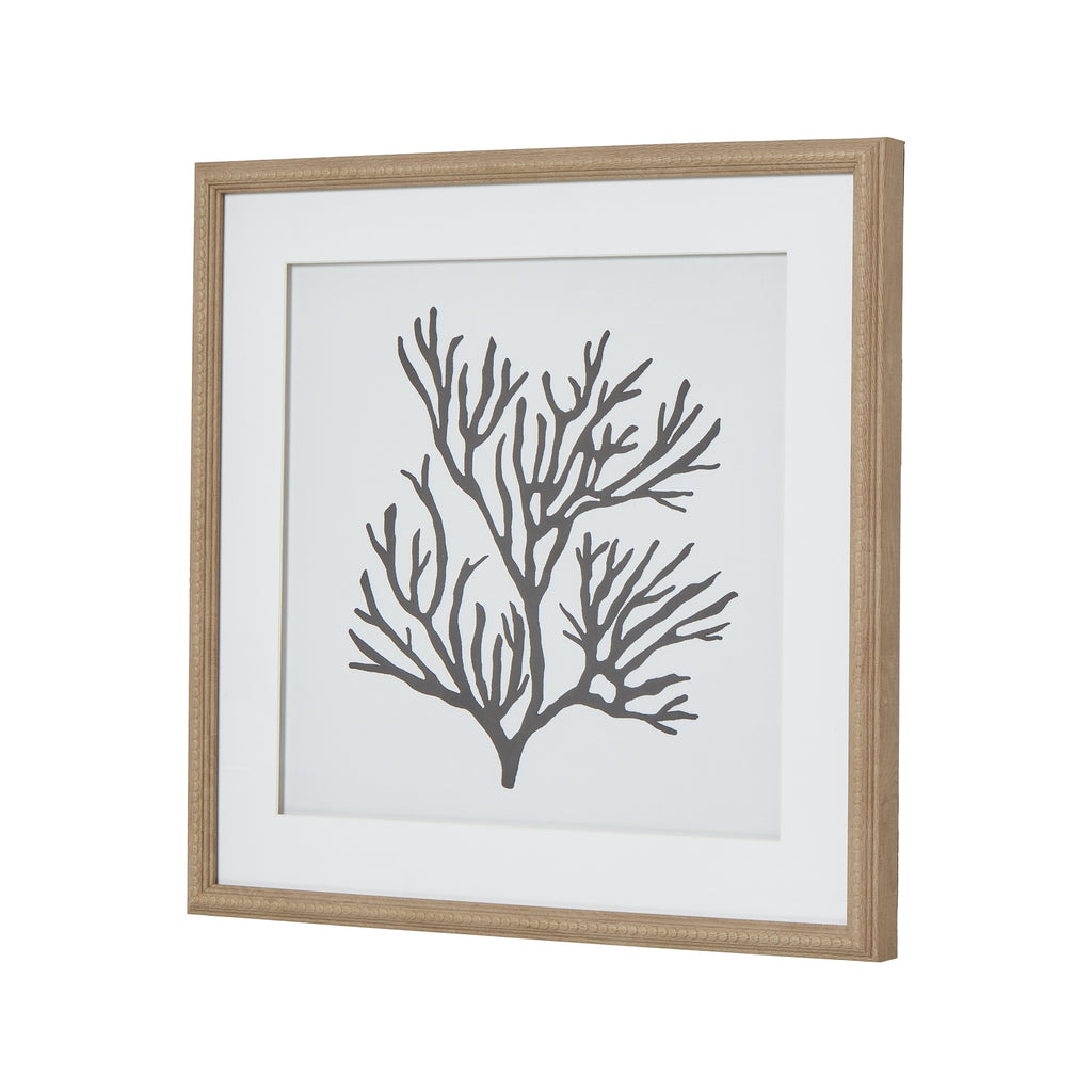 Reef Coral