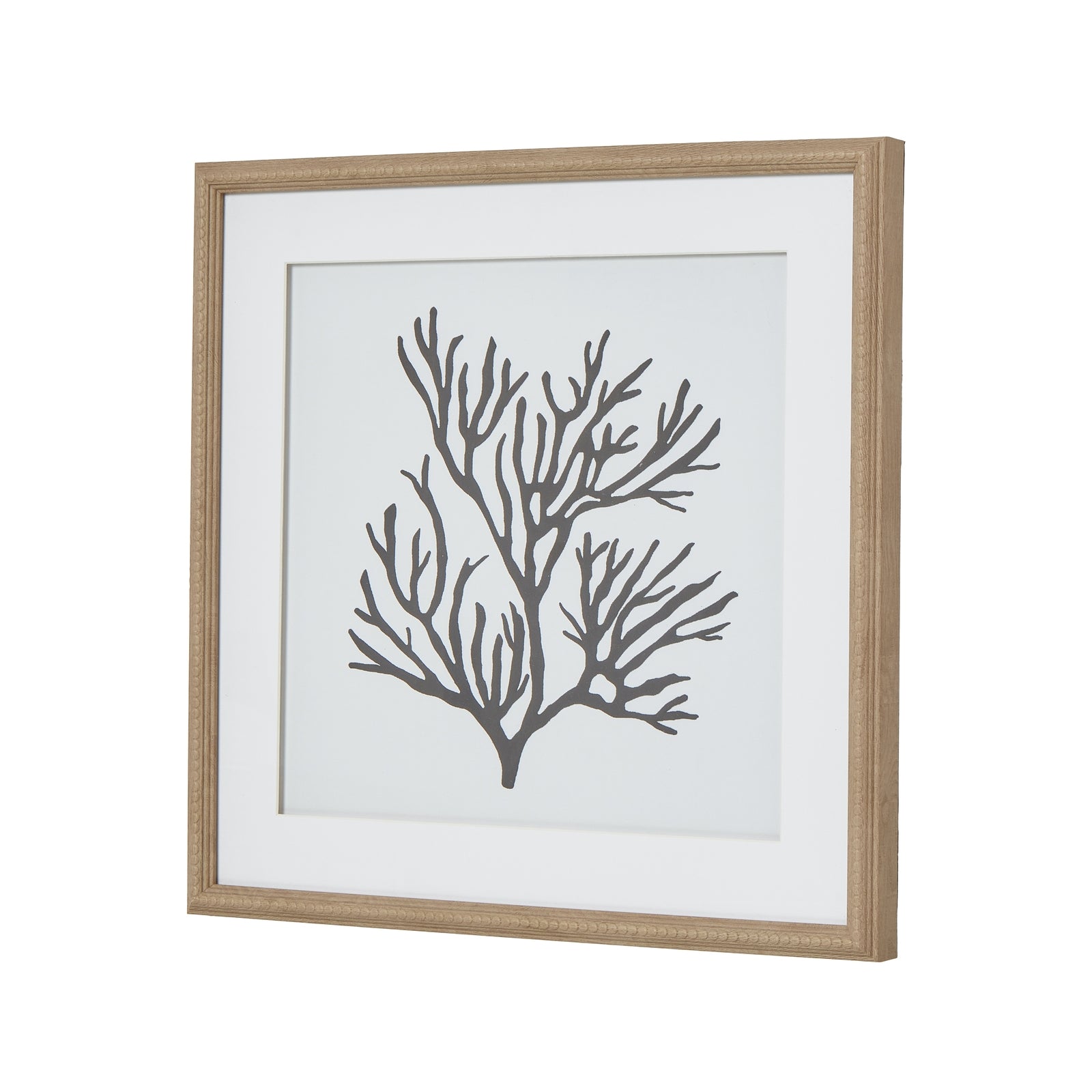 Reef Coral