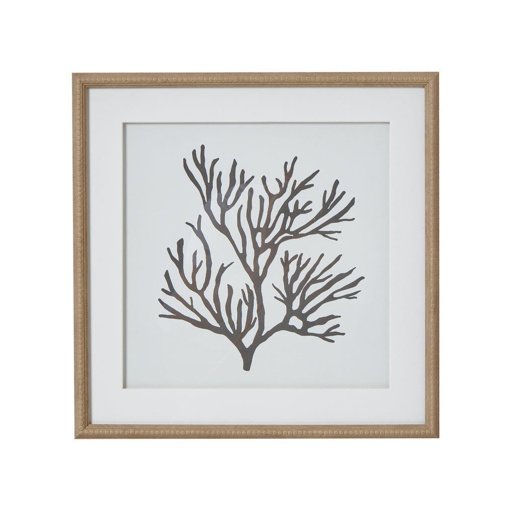 Reef Coral
