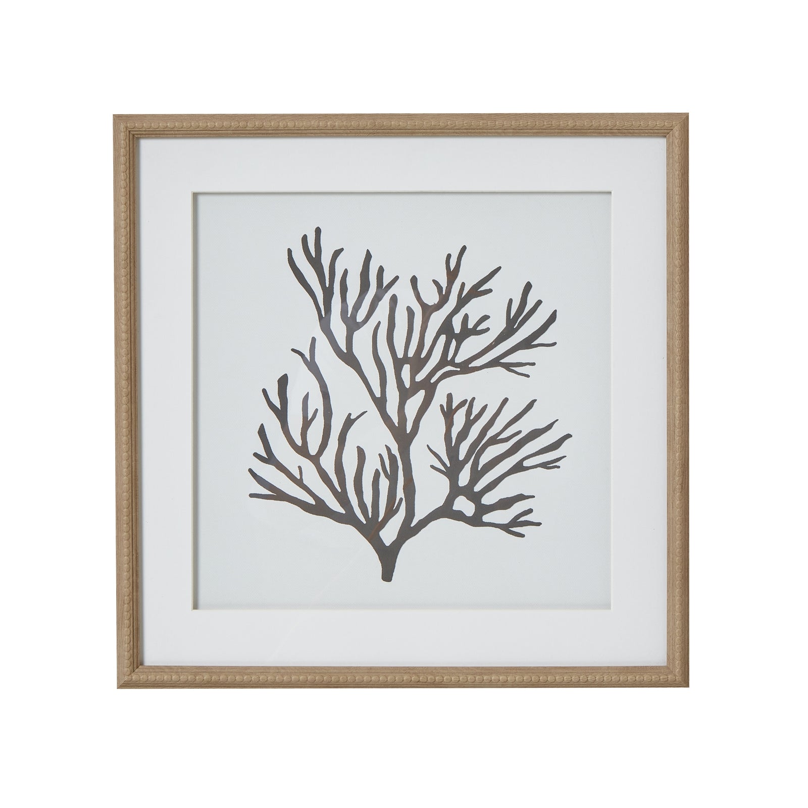 Reef Coral
