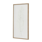 Quill White Feather