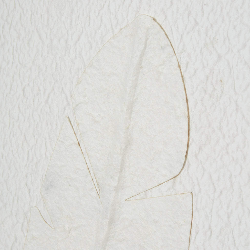 Quill White Feather